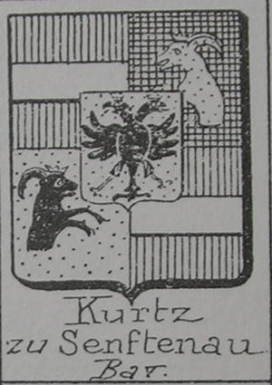 Kurtz Senftenau